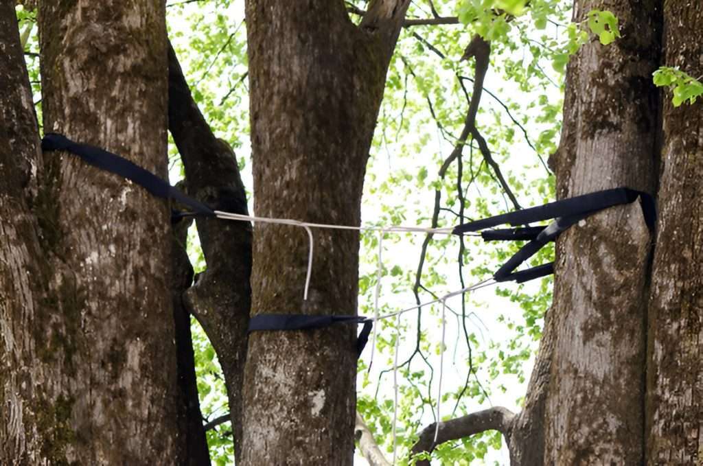 Cabling and Bracing Service