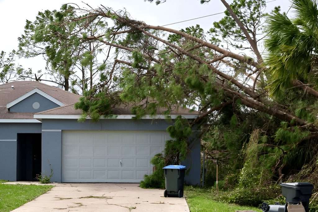 Weather Damage