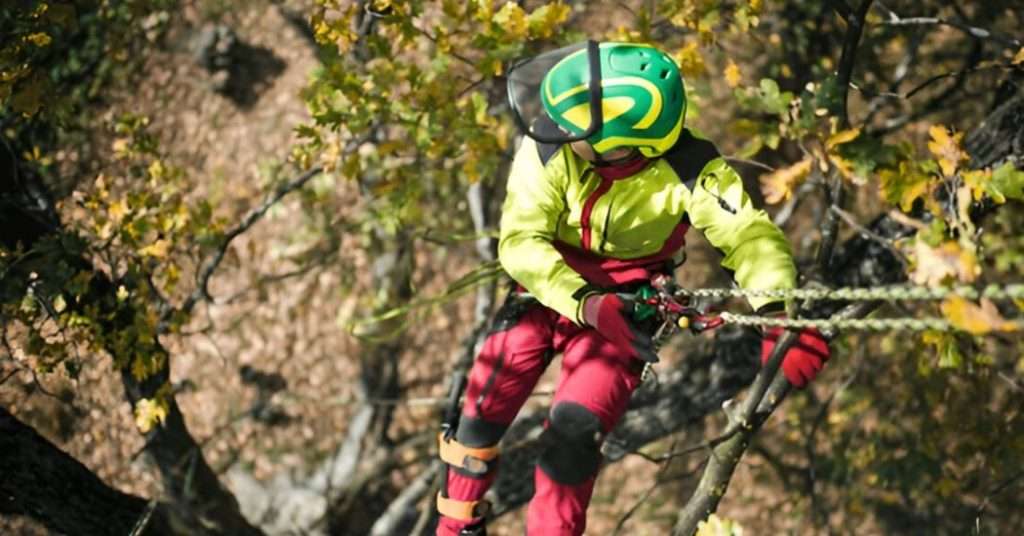 Benefits of Arborist Consultations