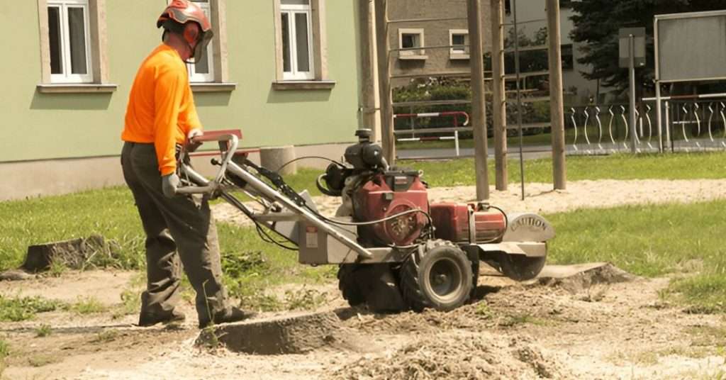 Stump Grinding vs. Stump Removal